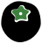 Black Sapote Software Logo